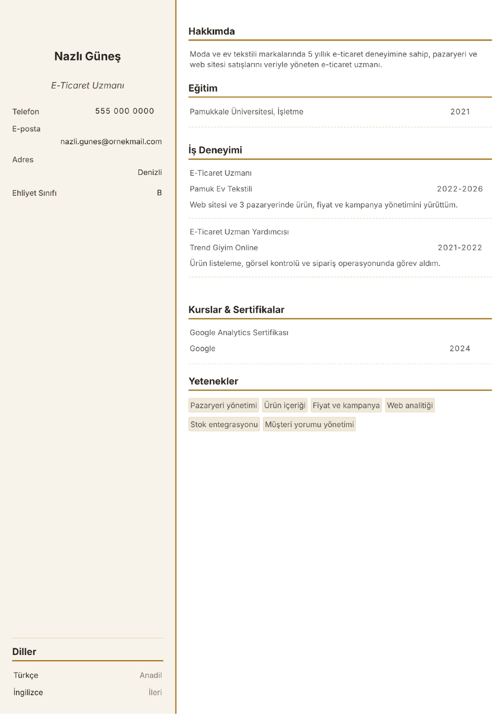 E-Ticaret Uzmanı için doldurulmuş örnek CV (fotoğrafsız)