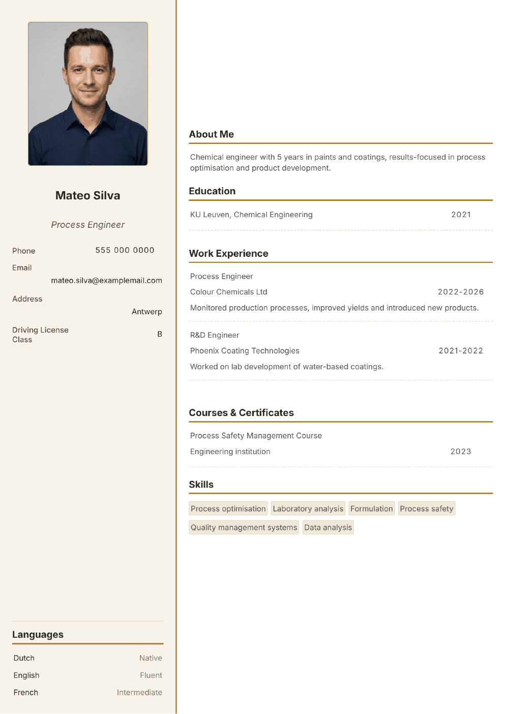 Completed CV example for a Chemical Engineer (without photo)