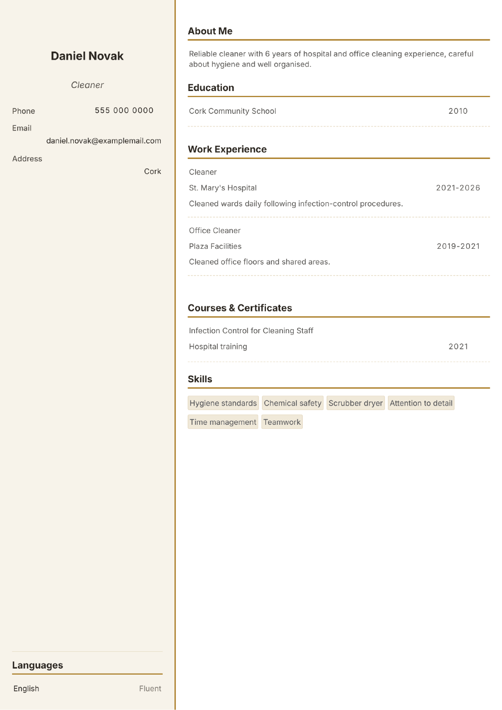 Completed CV example for a Cleaner (without photo)