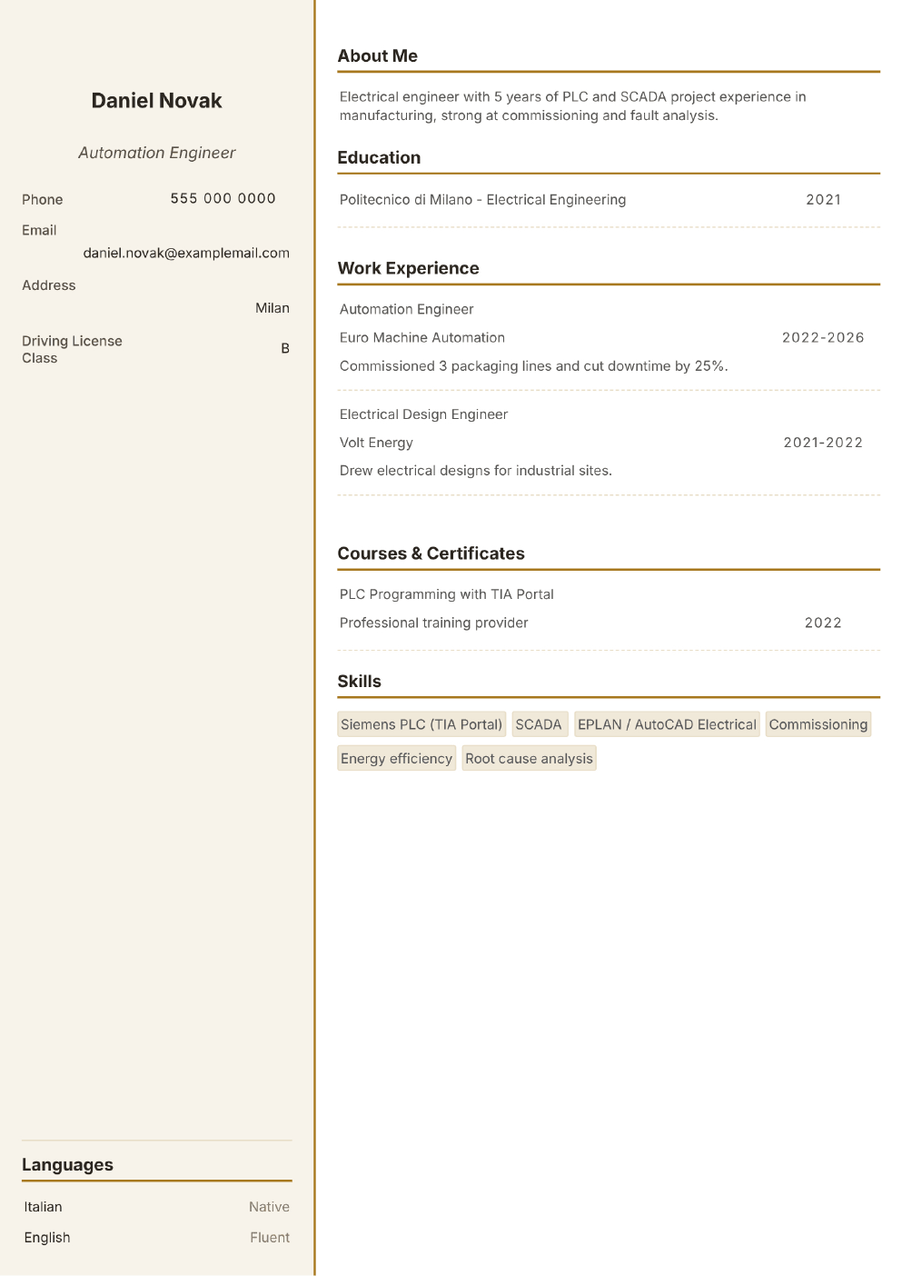 Completed CV example for an Electrical Engineer (without photo)