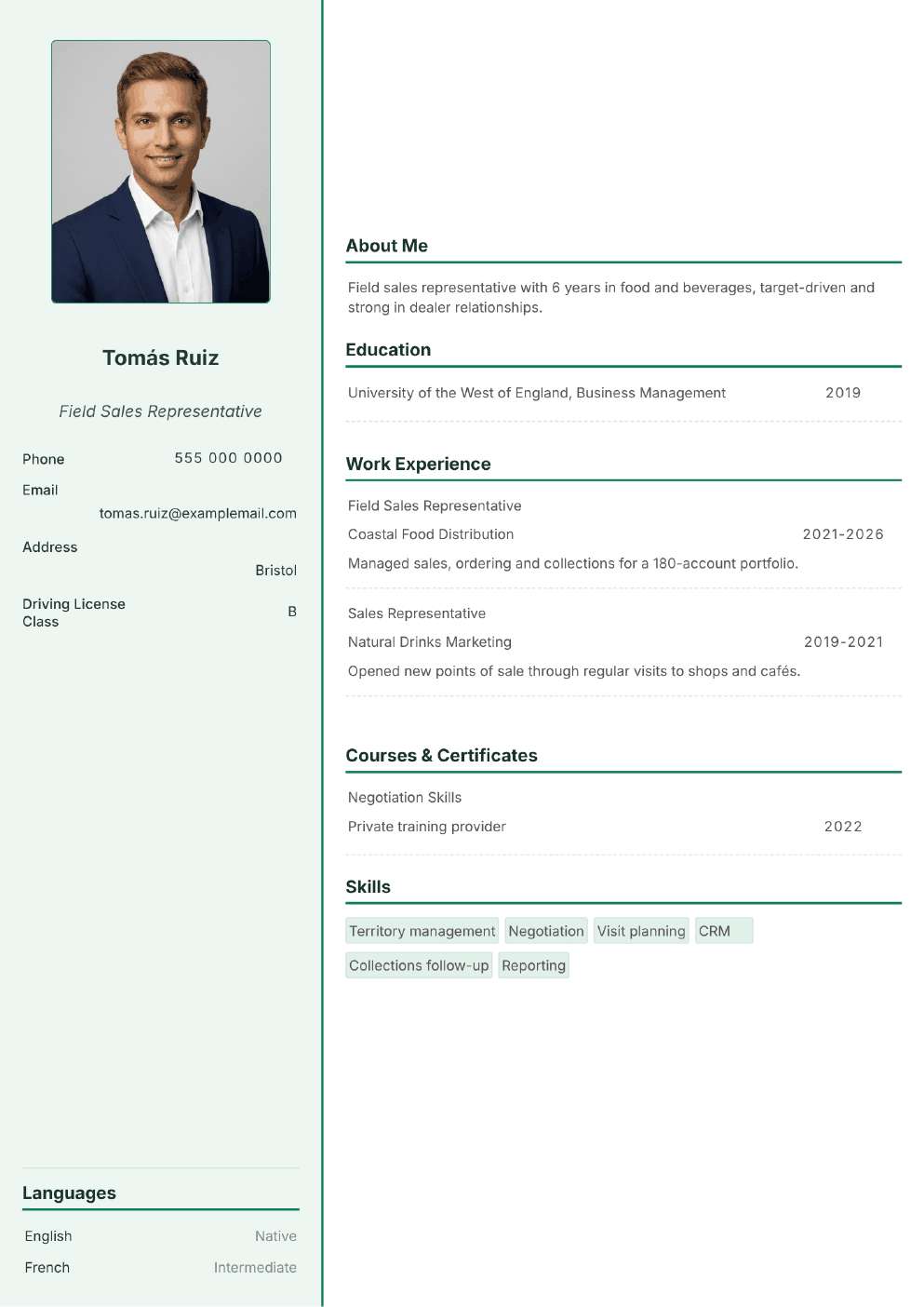 Completed CV example for a Field Sales Representative (without photo)