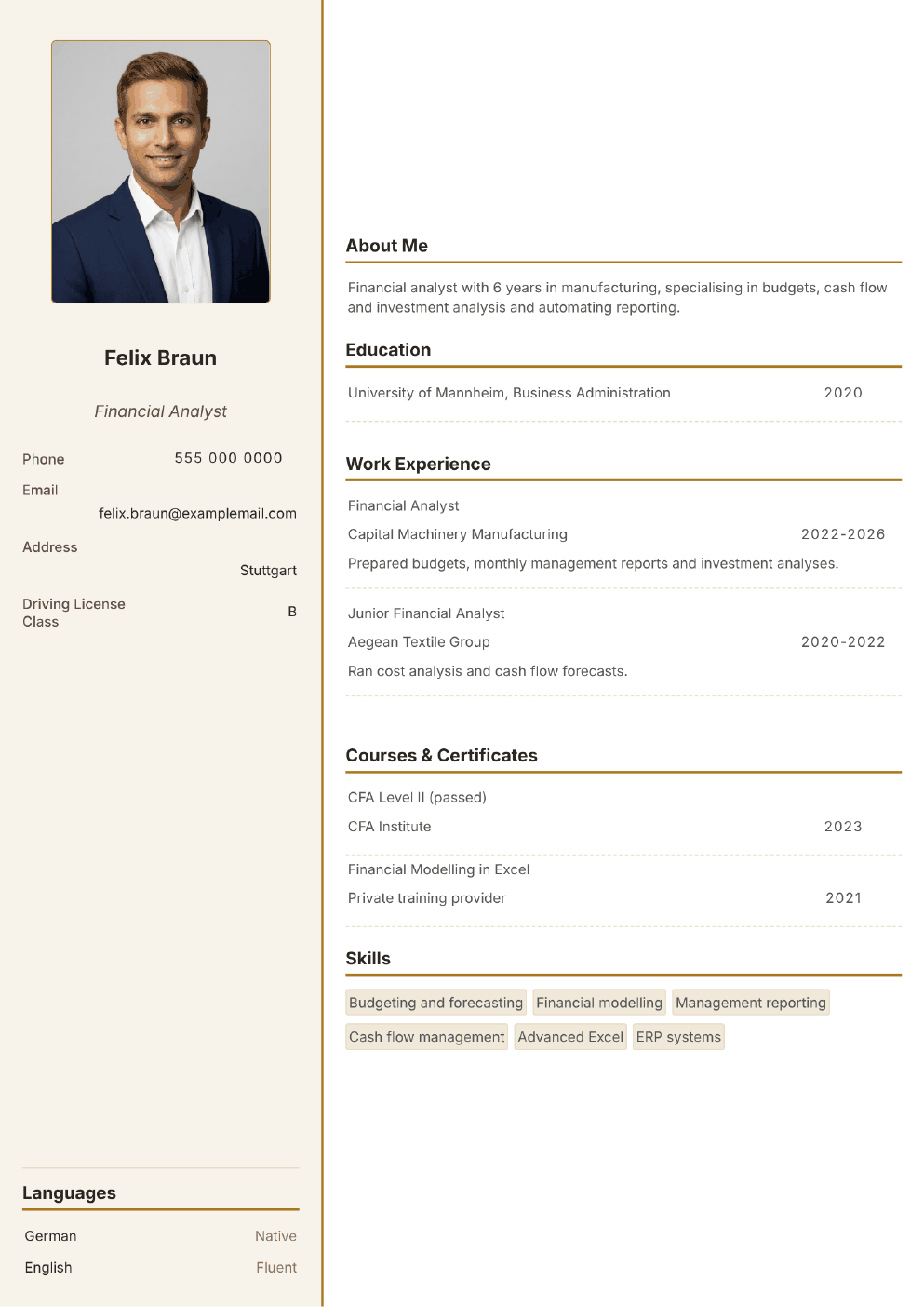 Completed CV example for a Financial Analyst (without photo)