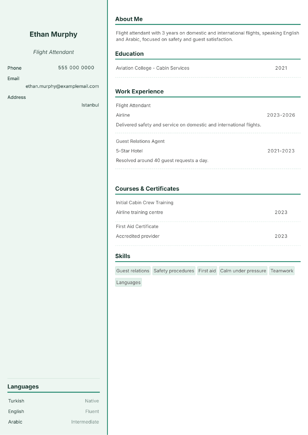 Completed CV example for a Flight Attendant (without photo)