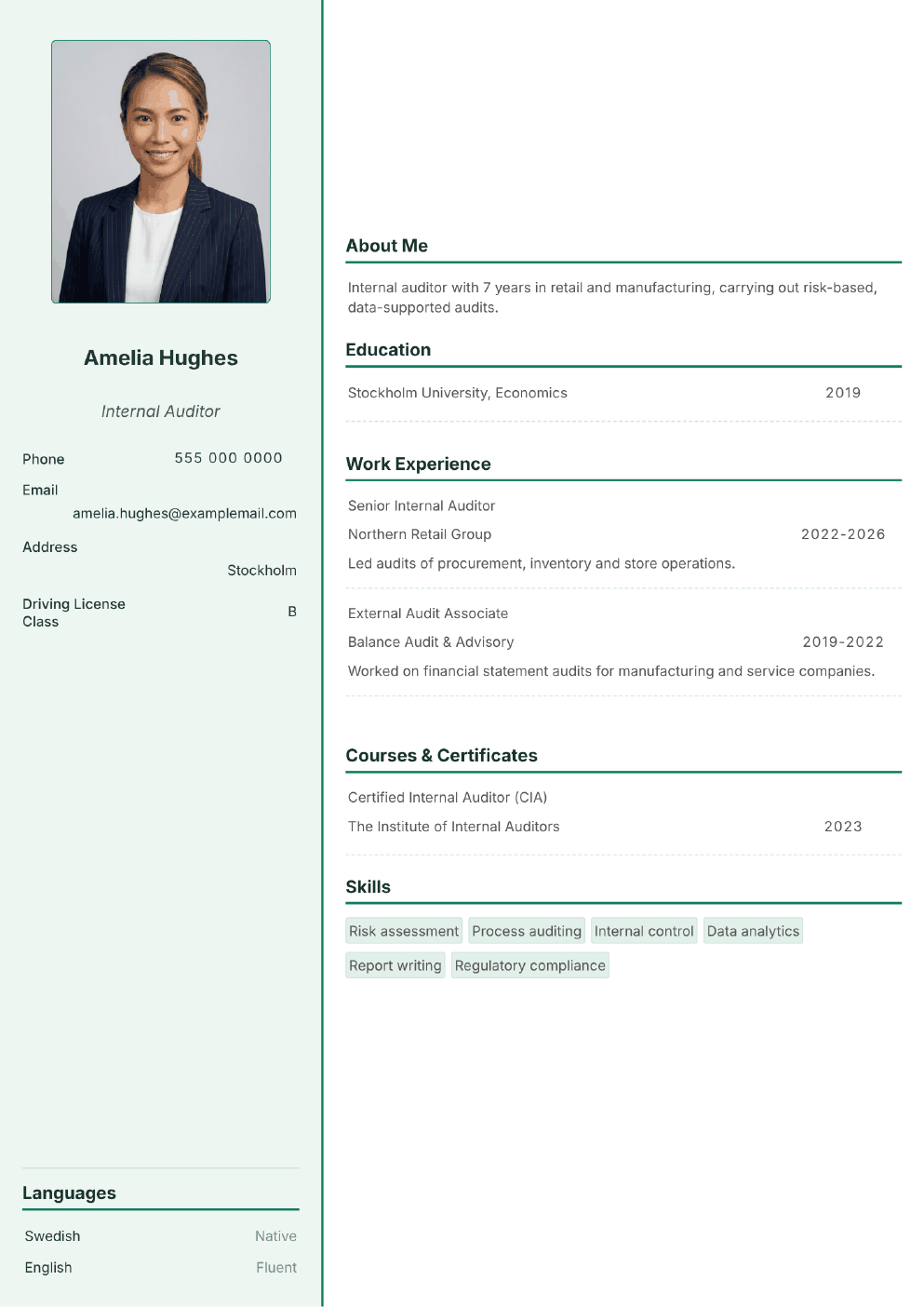Completed CV example for a Internal Auditor (without photo)