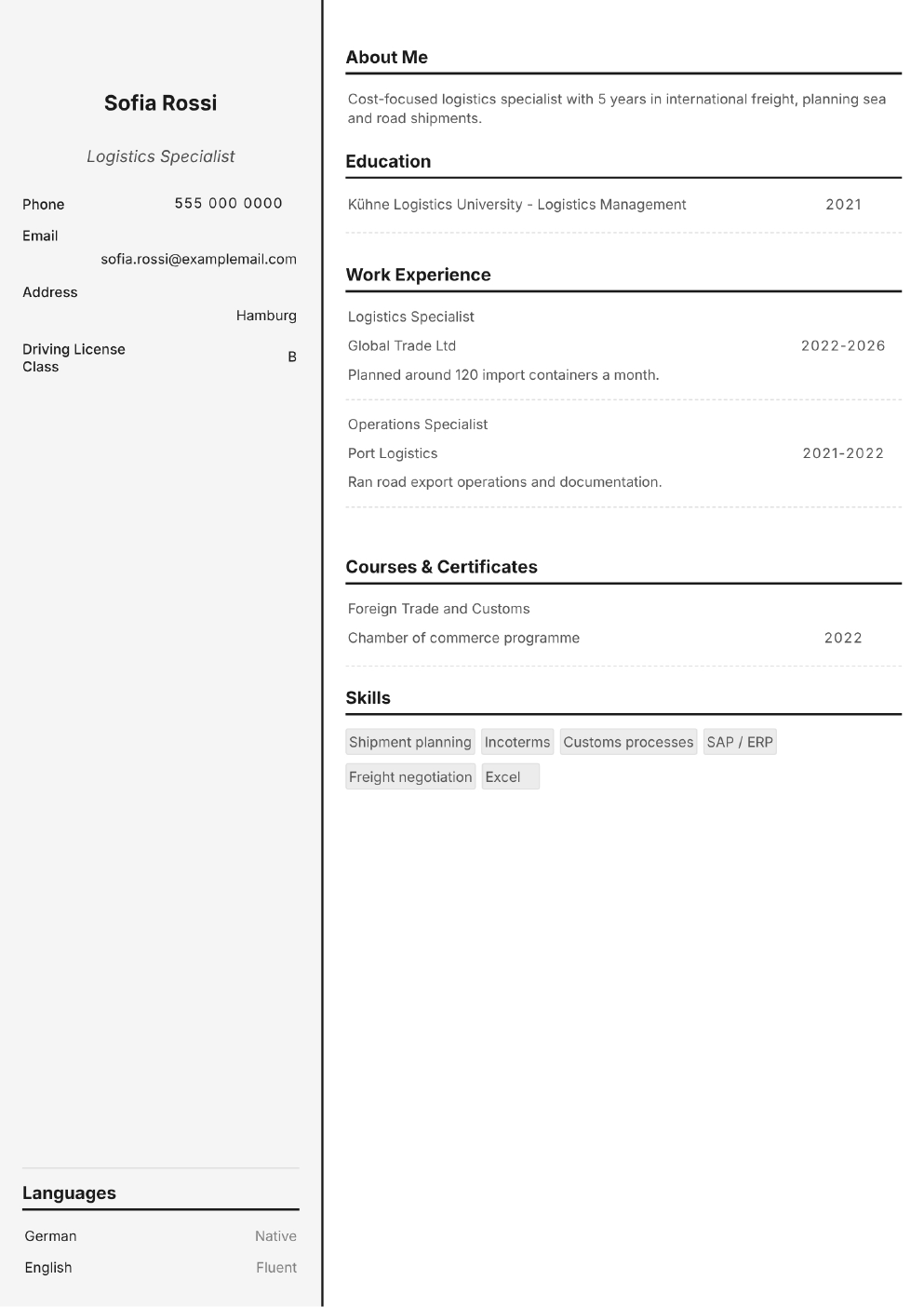 Completed CV example for a Logistics Specialist (without photo)