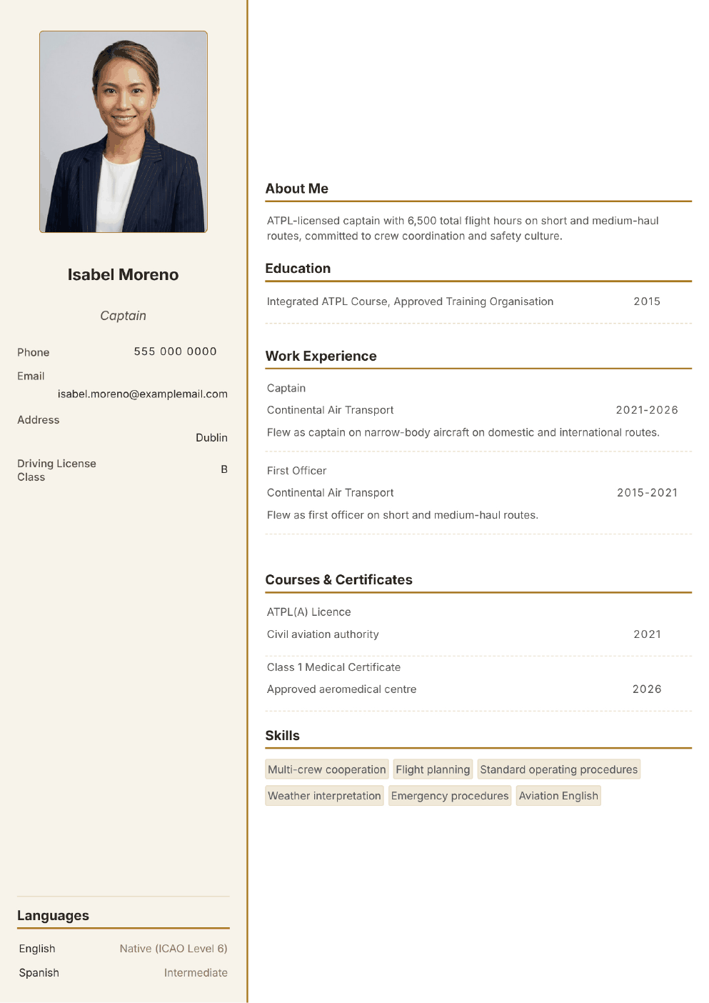 Completed CV example for a Pilot (with photo)