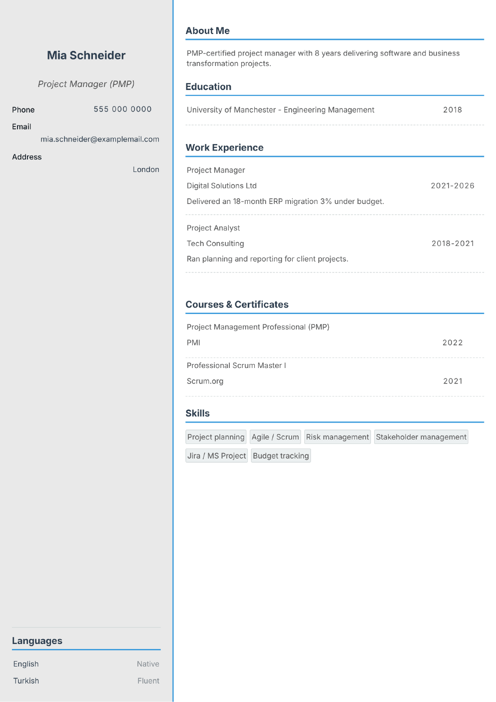 Completed CV example for a Project Manager (without photo)