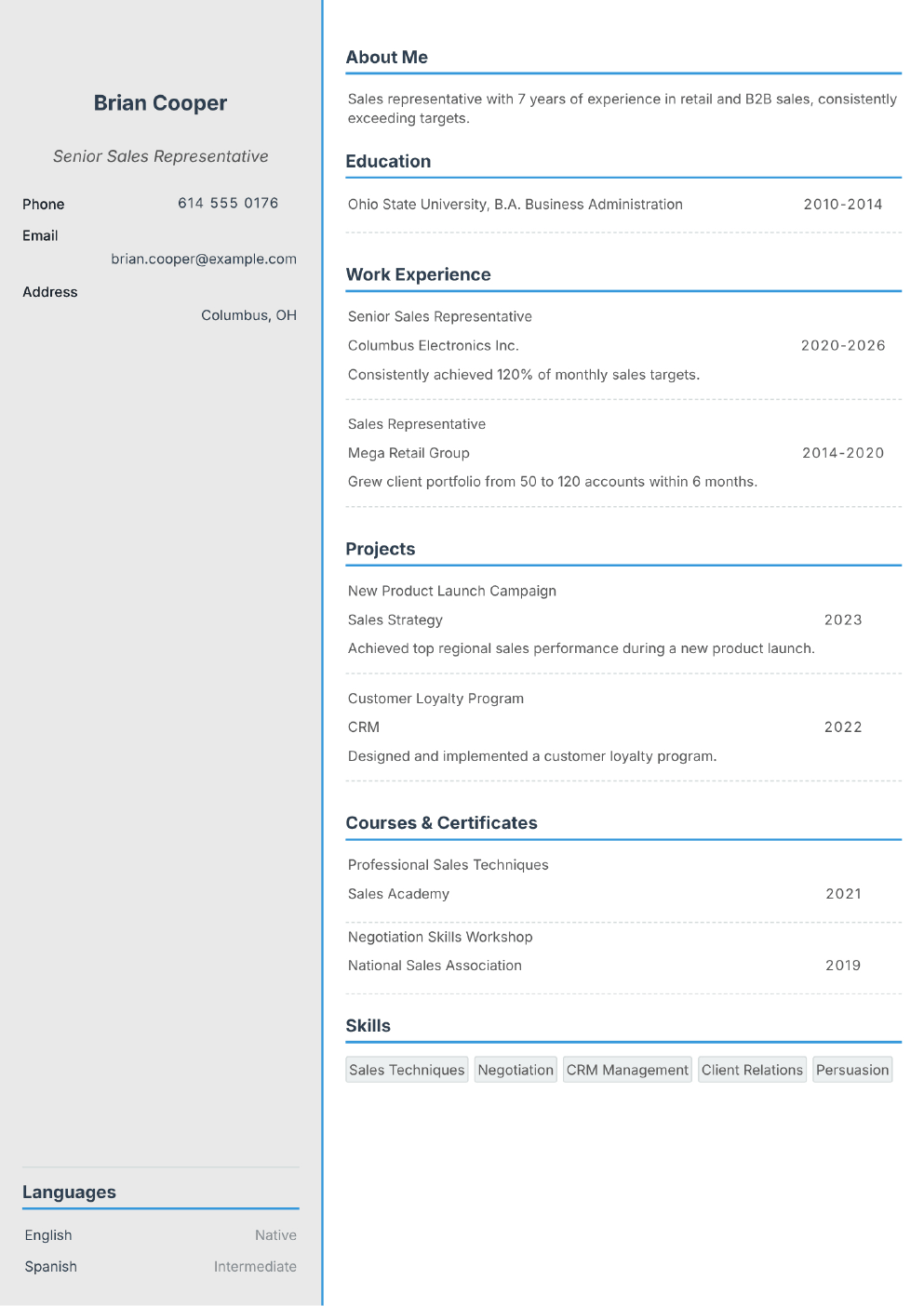 Filled-in example CV for Sales Representative (without photo)