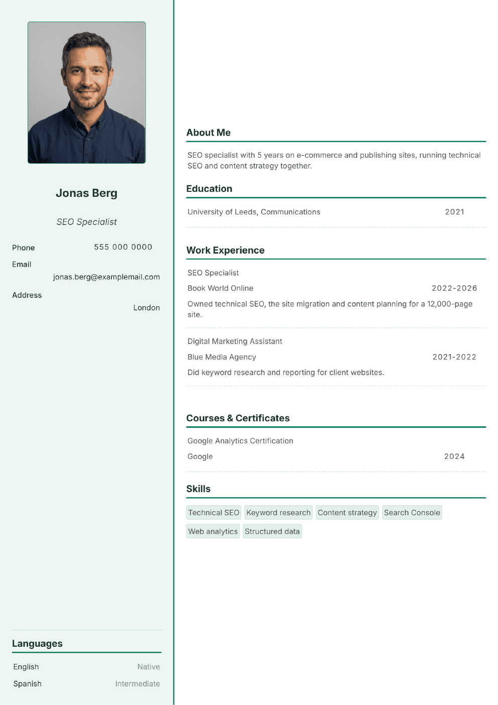 Completed CV example for a SEO Specialist (without photo)