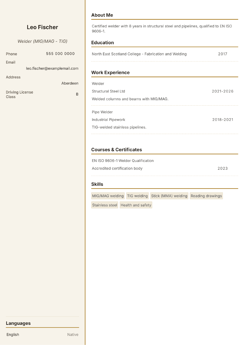 Completed CV example for a Welder (without photo)