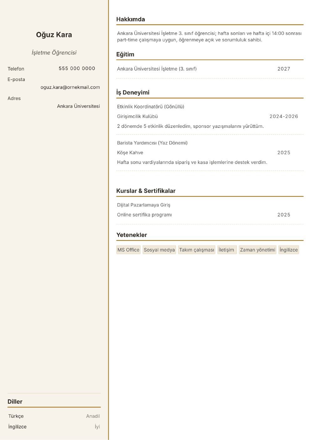 Öğrenci (Part-time) için doldurulmuş örnek CV (fotoğrafsız)